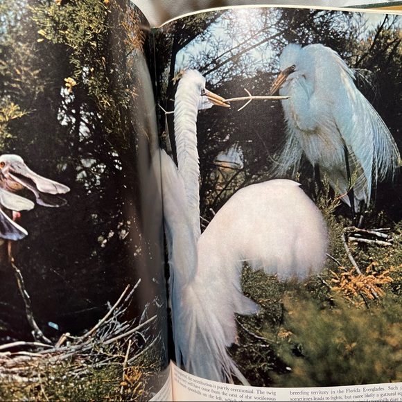 Life Nature Library Bird Book - Picture 5 of 6